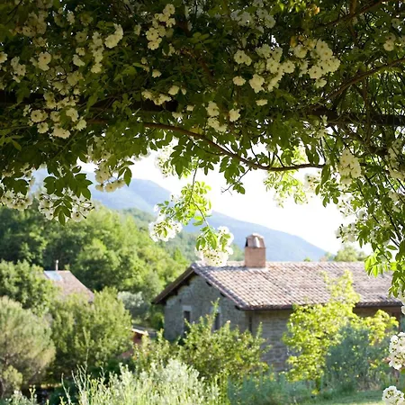 Casa Rosa *