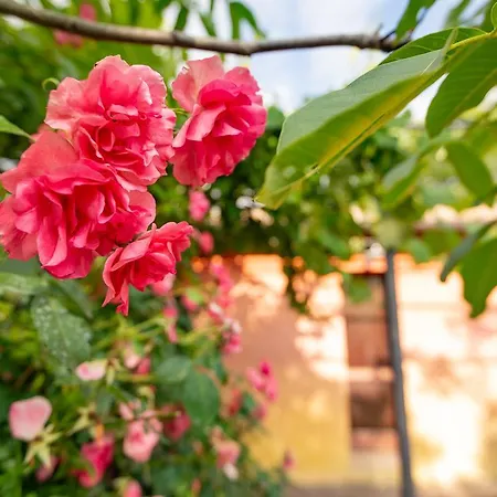 Casa Rosa Santa Maria Lignano