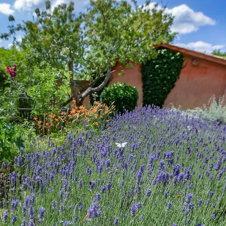 Casa Rosa Santa Maria Lignano