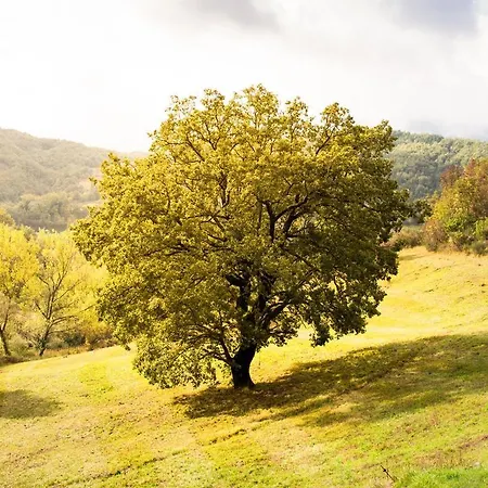 Εξοχικό σπίτι Casa Rosa *