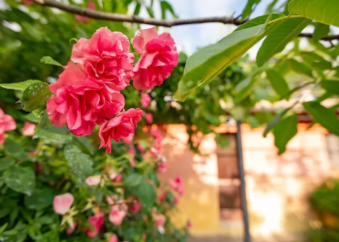 Casa Rosa Santa Maria Lignano