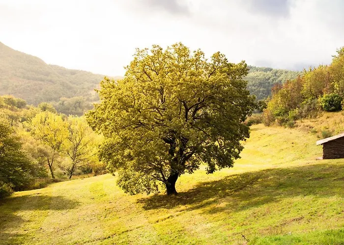 Landsted Casa Rosa *